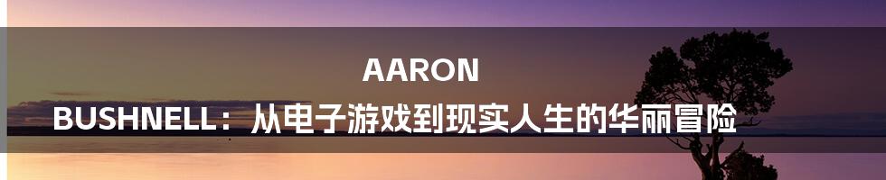 AARON BUSHNELL:从电子游戏到现实人生的华丽冒险