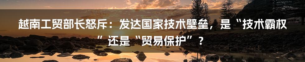 越南工贸部长怒斥:发达国家技术壁垒,是“技术霸权”还是“贸易保护”?