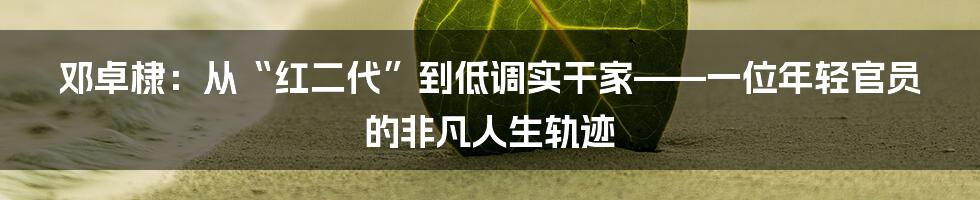 邓卓棣:从“红二代”到低调实干家——一位年轻官员的非凡人生轨迹