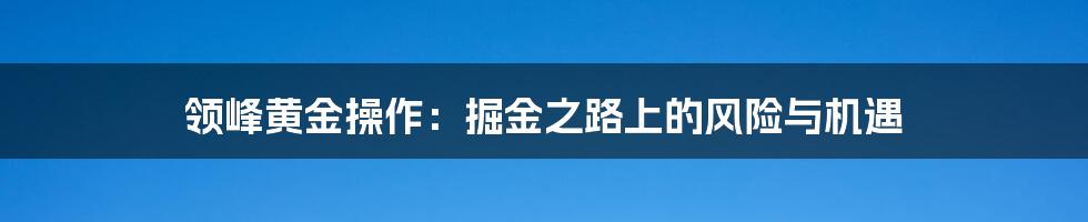 领峰黄金操作：掘金之路上的风险与机遇