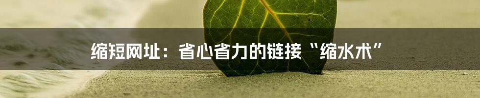 缩短网址:省心省力的链接“缩水术”