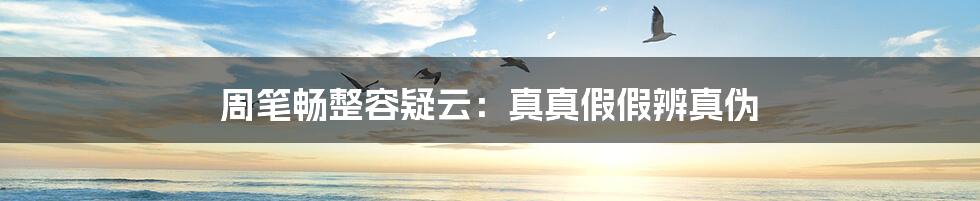 周笔畅整容疑云:真真假假辨真伪