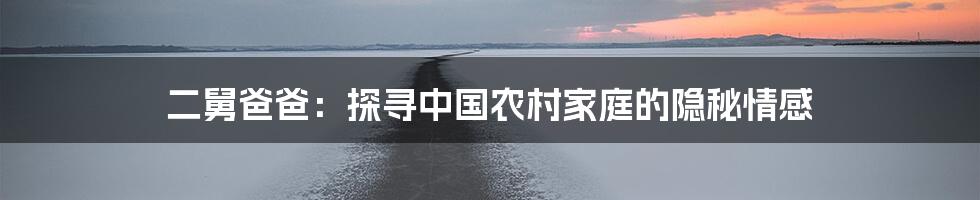 二舅爸爸:探寻中国农村家庭的隐秘情感
