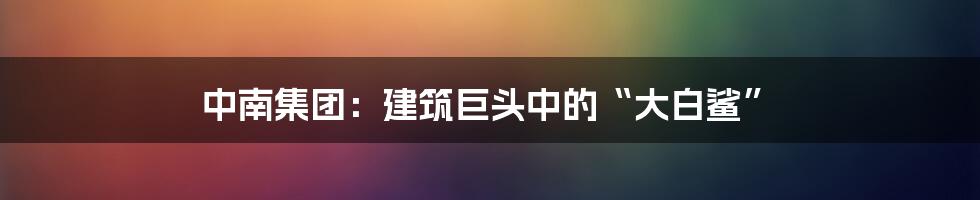 中南集团:建筑巨头中的“大白鲨”
