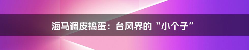 海马调皮捣蛋：台风界的“小个子”