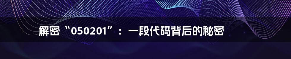 解密“050201”:一段代码背后的秘密