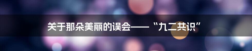 关于那朵美丽的误会——“九二共识”