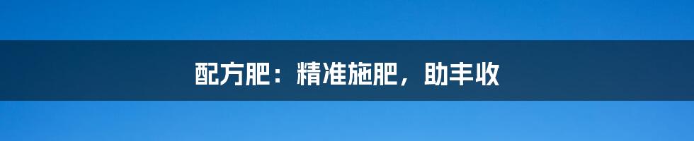 配方肥:精准施肥,助丰收