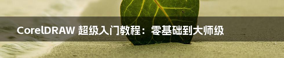 CorelDRAW 超级入门教程:零基础到大师级