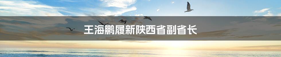 王海鹏履新陕西省副省长