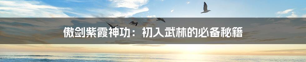 傲剑紫霞神功:初入武林的必备秘籍