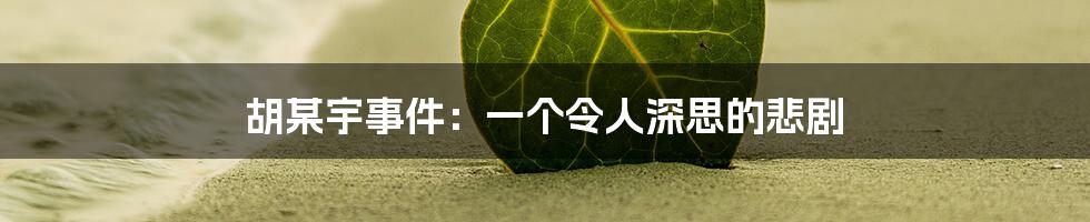 胡某宇事件:一个令人深思的悲剧