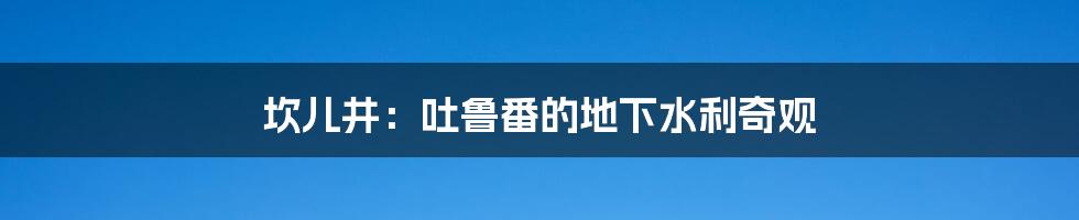 坎儿井:吐鲁番的地下水利奇观