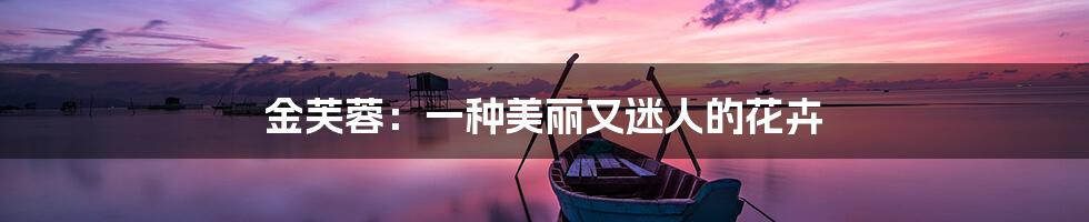 金芙蓉:一种美丽又迷人的花卉
