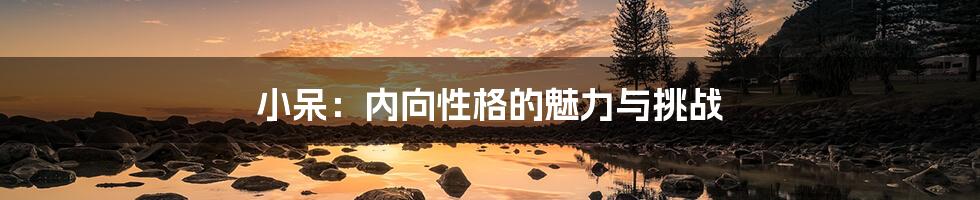 小呆：内向性格的魅力与挑战