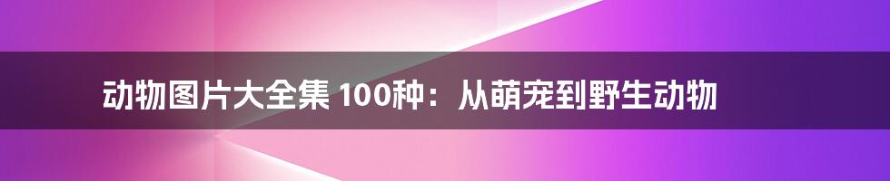 动物图片大全集 100种:从萌宠到野生动物