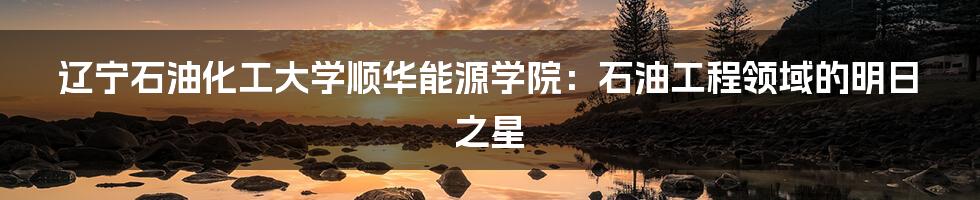 辽宁石油化工大学顺华能源学院:石油工程领域的明日之星