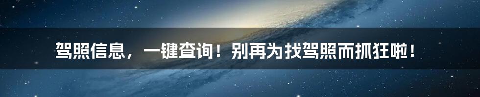 驾照信息,一键查询!别再为找驾照而抓狂啦!