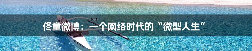 佟童微博:一个网络时代的“微型人生”