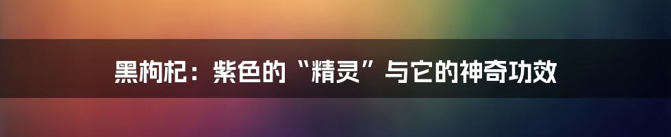 黑枸杞:紫色的“精灵”与它的神奇功效