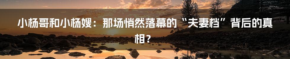 小杨哥和小杨嫂:那场悄然落幕的“夫妻档”背后的真相?