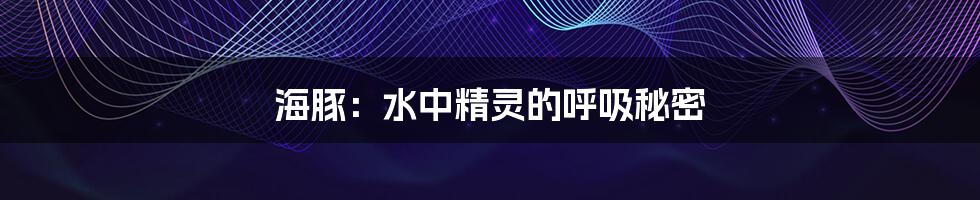 海豚:水中精灵的呼吸秘密