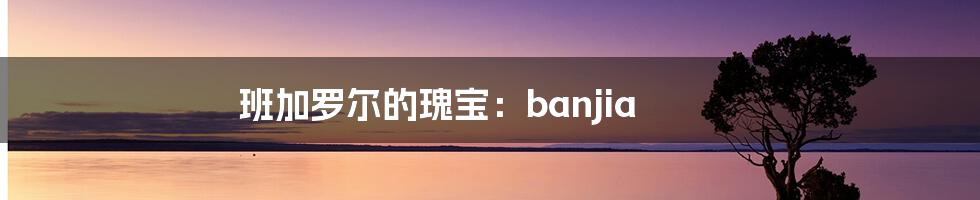 班加罗尔的瑰宝:banjia
