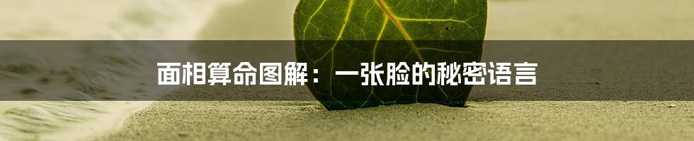 面相算命图解:一张脸的秘密语言
