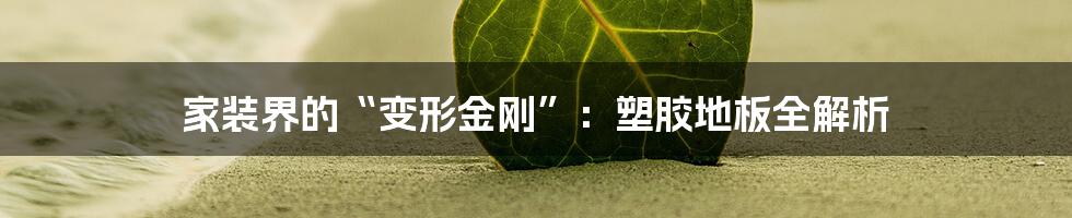 家装界的“变形金刚”:塑胶地板全解析