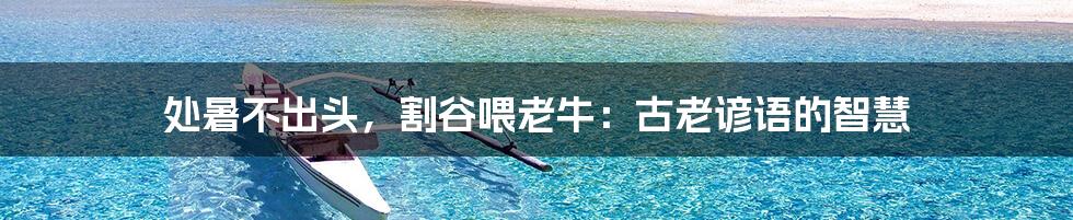 处暑不出头，割谷喂老牛：古老谚语的智慧
