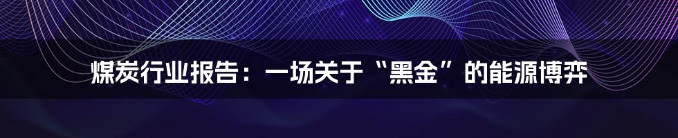 煤炭行业报告:一场关于“黑金”的能源博弈