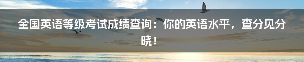 全国英语等级考试成绩查询:你的英语水平,查分见分晓!