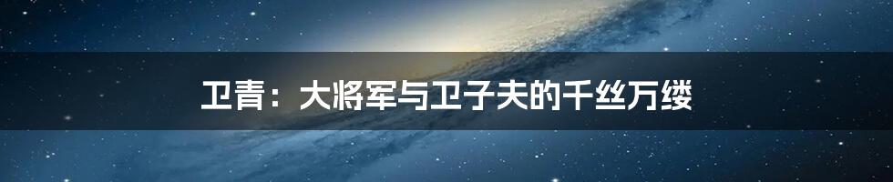 卫青:大将军与卫子夫的千丝万缕