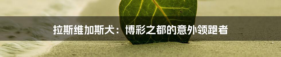 拉斯维加斯犬：博彩之都的意外领跑者