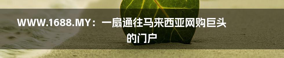 WWW.1688.MY：一扇通往马来西亚网购巨头的门户