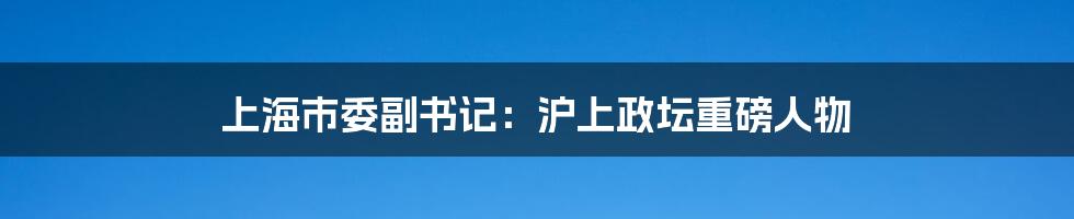 上海市委副书记:沪上政坛重磅人物
