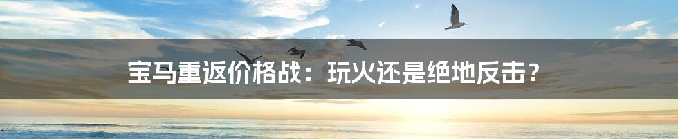 宝马重返价格战:玩火还是绝地反击?