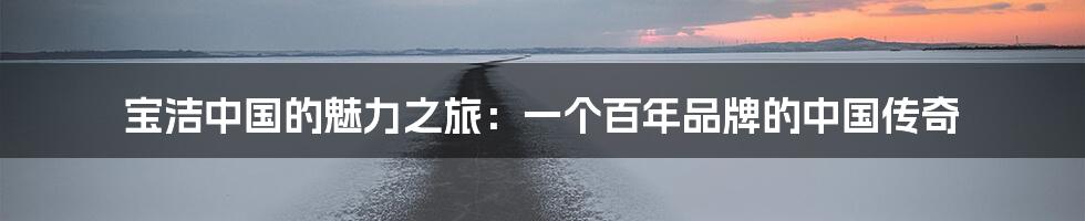 宝洁中国的魅力之旅:一个百年品牌的中国传奇