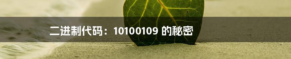 二进制代码:10100109 的秘密