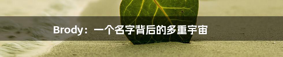 Brody:一个名字背后的多重宇宙