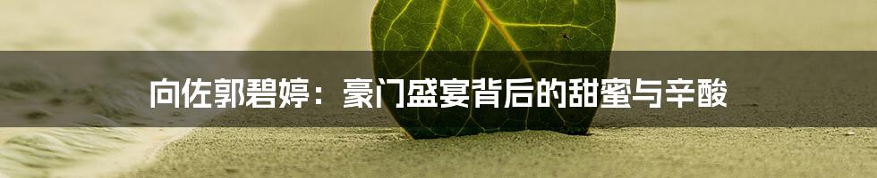 向佐郭碧婷：豪门盛宴背后的甜蜜与辛酸