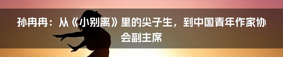 孙冉冉：从《小别离》里的尖子生，到中国青年作家协会副主席