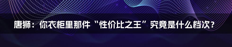 唐狮:你衣柜里那件“性价比之王”究竟是什么档次?