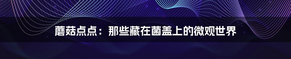蘑菇点点:那些藏在菌盖上的微观世界