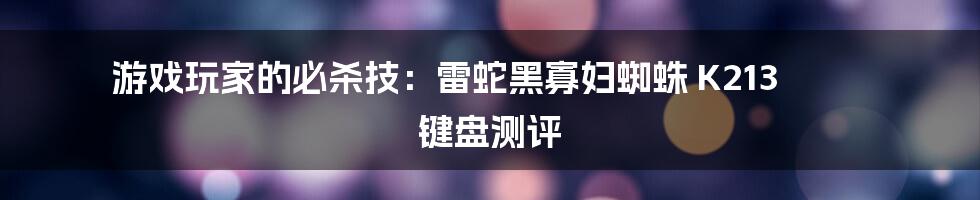 游戏玩家的必杀技：雷蛇黑寡妇蜘蛛 K213 键盘测评