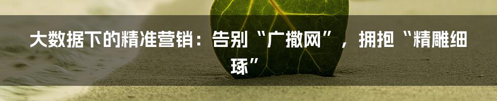 大数据下的精准营销:告别“广撒网”,拥抱“精雕细琢”