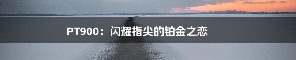 PT900:闪耀指尖的铂金之恋