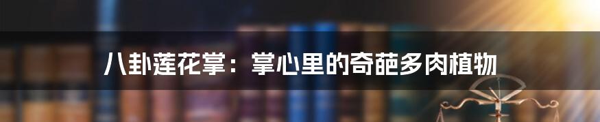 八卦莲花掌:掌心里的奇葩多肉植物