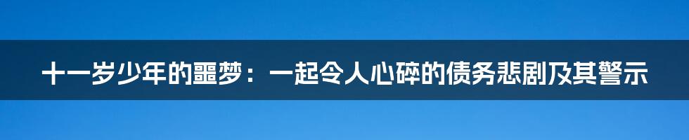 十一岁少年的噩梦:一起令人心碎的债务悲剧及其警示