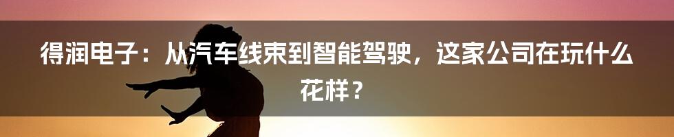 得润电子:从汽车线束到智能驾驶,这家公司在玩什么花样?